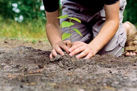 For Big Problems, Small Solutions